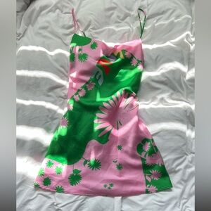 Zara Pink and Green Floral Dress